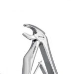 فورسپس پرمولر پایین