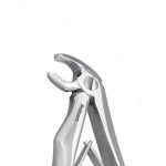 فورسپس مولر پایین