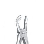 فورسپس عقل پایین