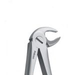 فورسپس پرمولر پایین