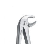 فورسپس مولر پایین