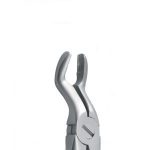 فورسپس عقل بالا